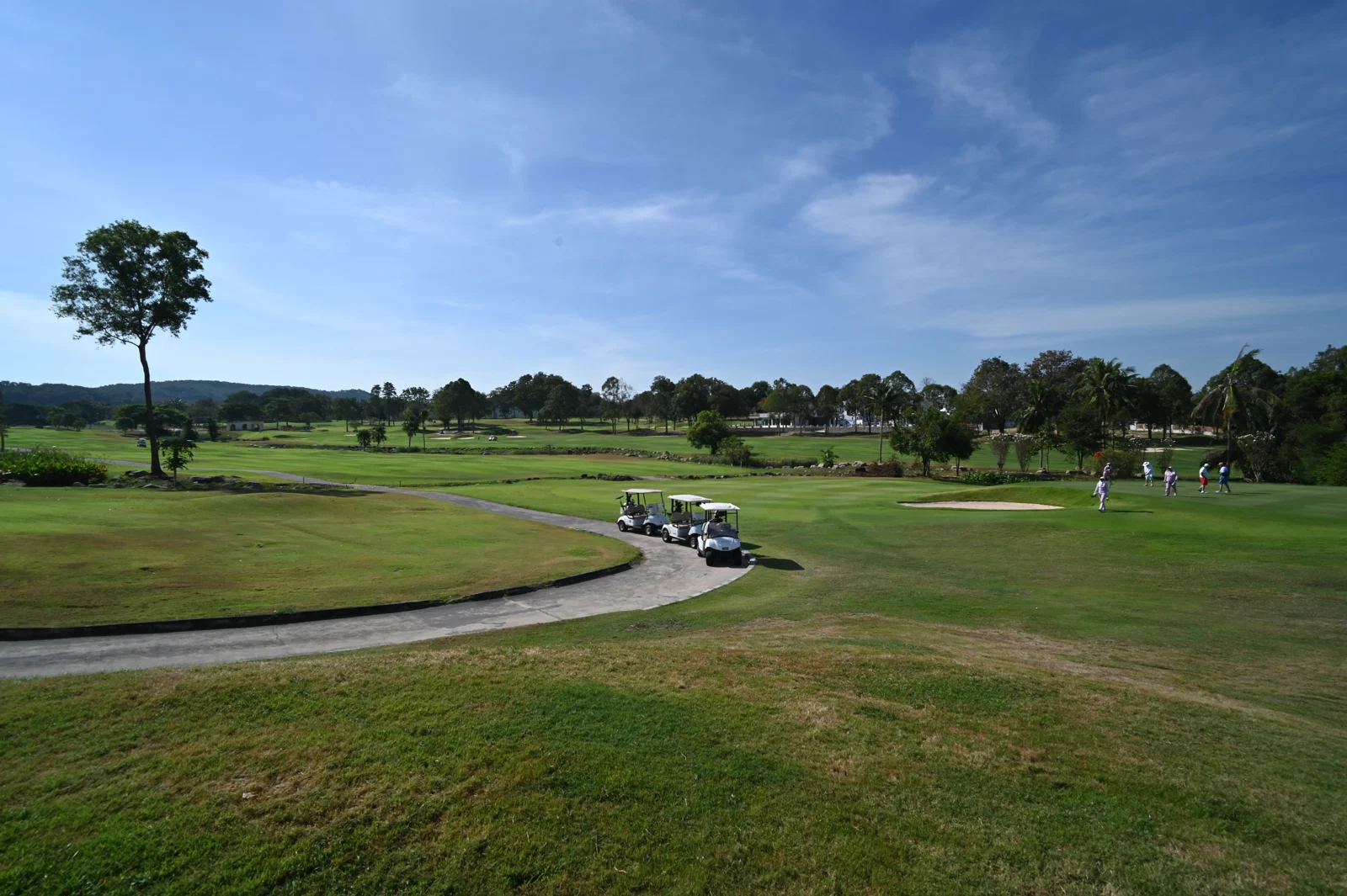 Golf carts beside a tree-lined fairway in Ban Chang, Rayong, photographed in December 2025.